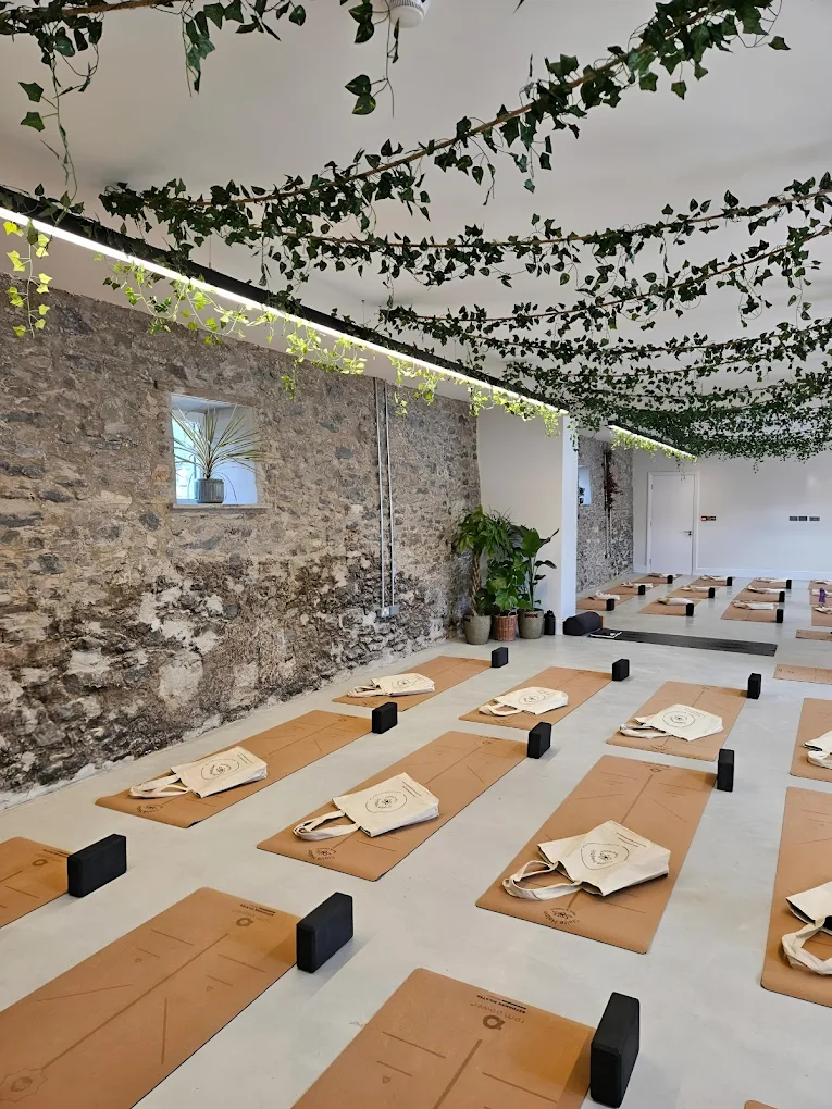 Claire Halpin Yoga and Pilates