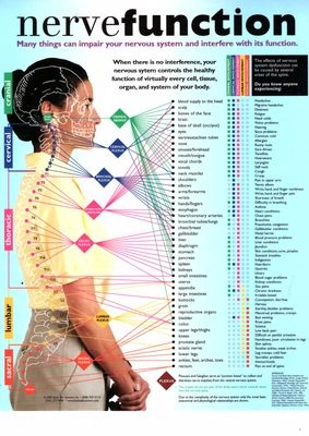 Glanmire Chiropractic Clinic