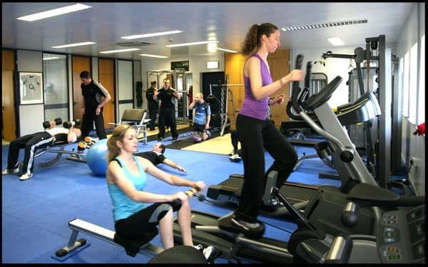 Kiwifit