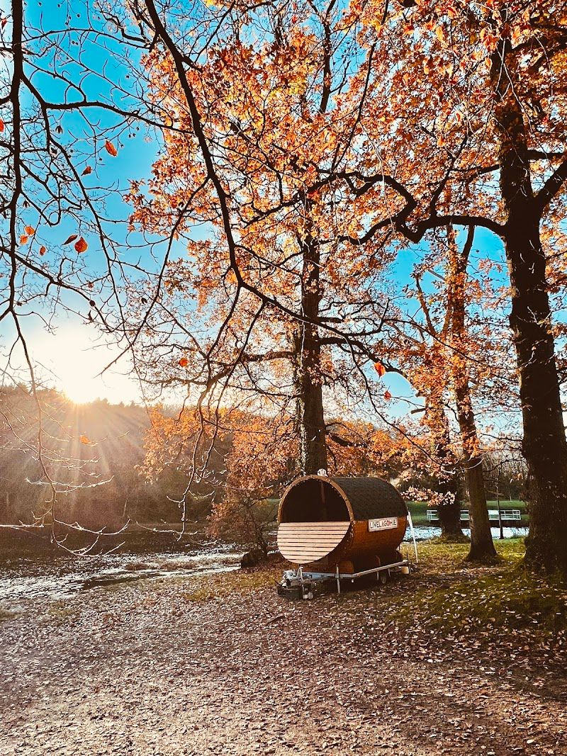 Live Lagom Sauna Annagh Lake
