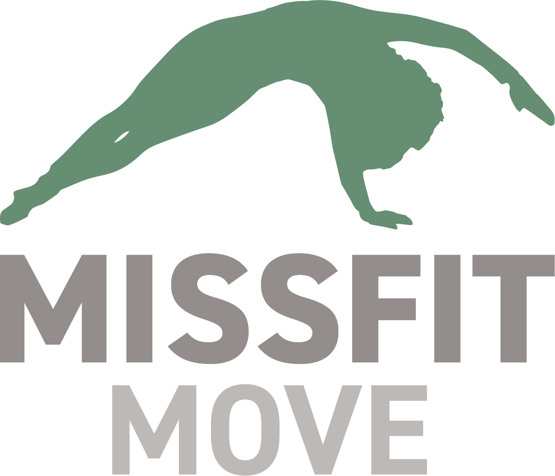 MissFit Move