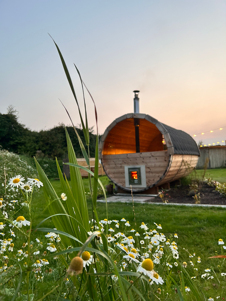 The Spring Saunas