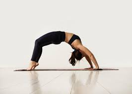 The Yoga Lounge