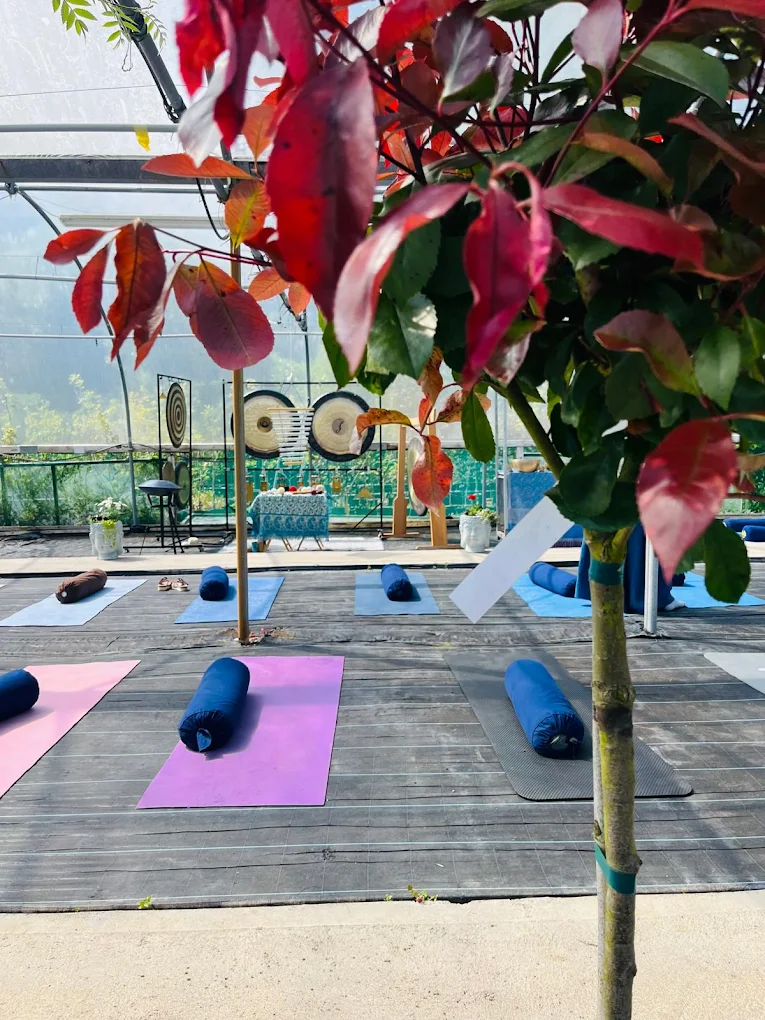 Tuam Yoga & Pilates Studio